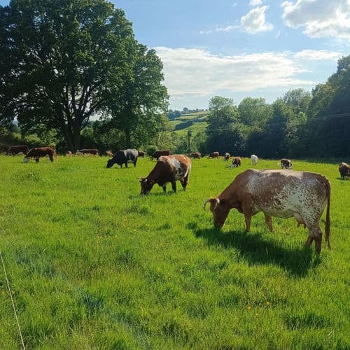 Image of who Good Small Farms Ltd is