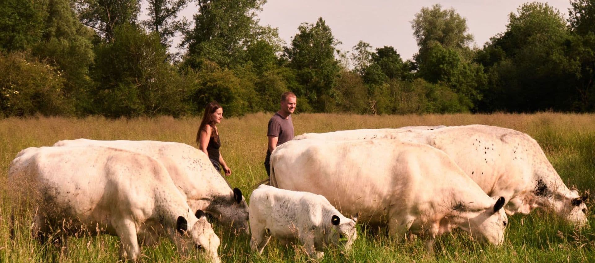 James and Katie Allen's Business main image