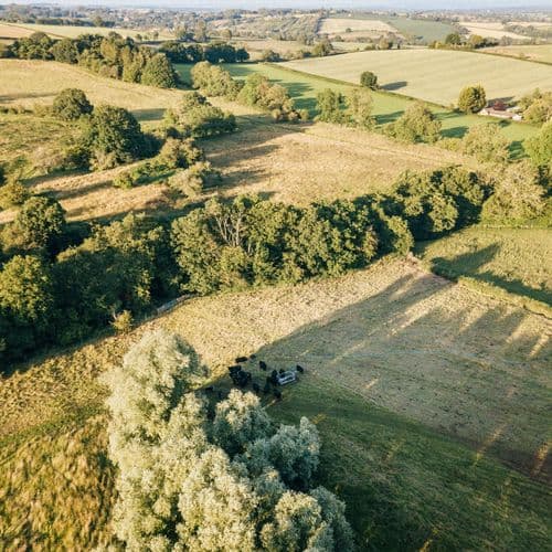 Certified Planton Farm 