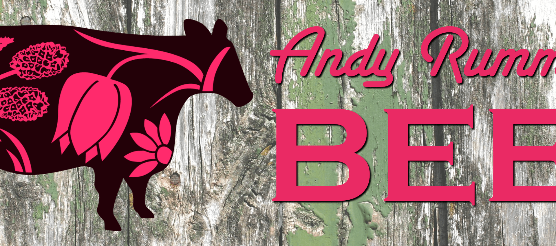 DW Rumming and Sons main image