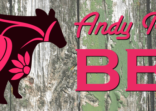 DW Rumming and Sons main image