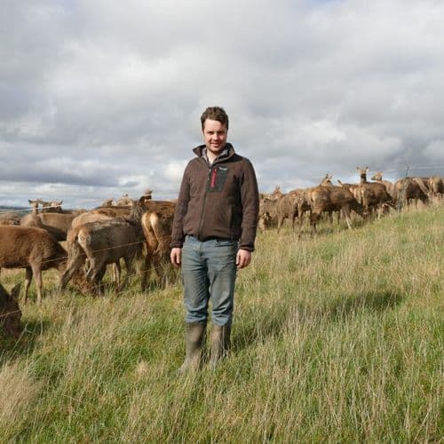 Whitriggs Farmer with deer