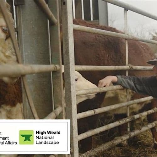 meta image for Introduction to Homeopathy for Livestock