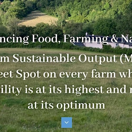 meta image for 2 Day Maximum Sustainable Output workshop with Nethergill Associates