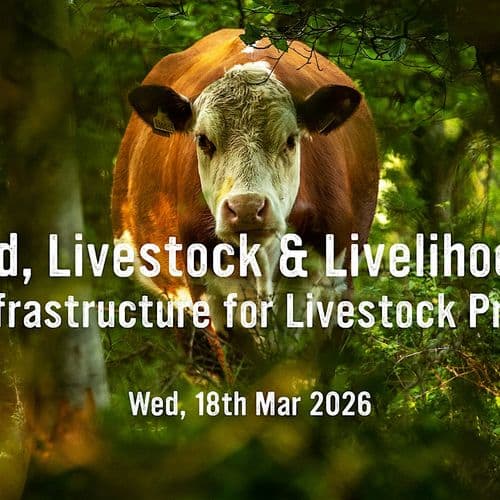 meta image for Living Infrastructure for Livestock Production