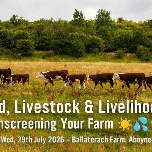 meta image for Sunscreening Your Farm ☀️