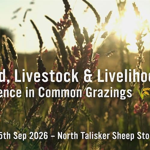 meta image for Land, Livestock and Livelihoods: Resilience in Common Grazings
