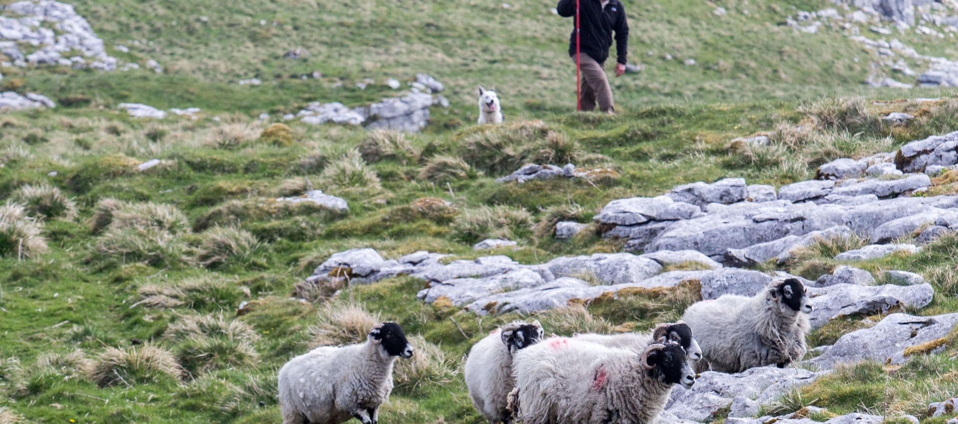 Hill Top Farm, 