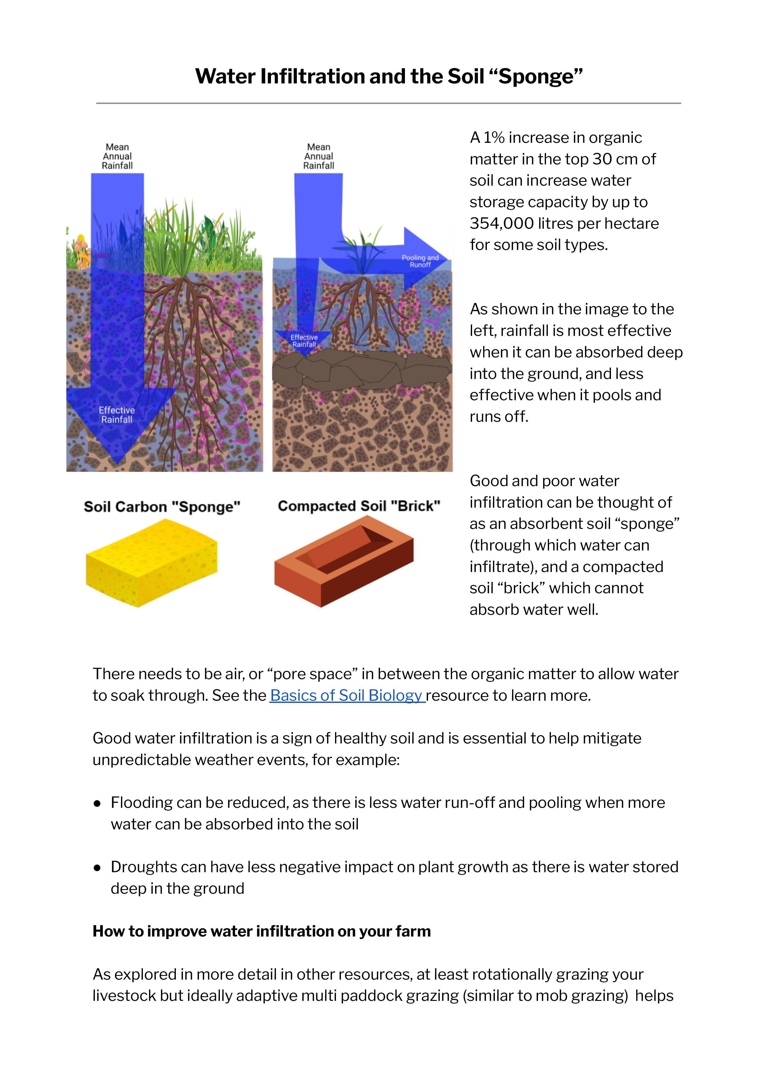 Water Infiltration and the Soil "Sponge"