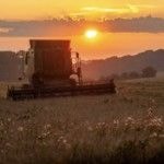 Bella Lowes and Mill Barton Farm - Screenshot-2021-06-16-at-09.57.20