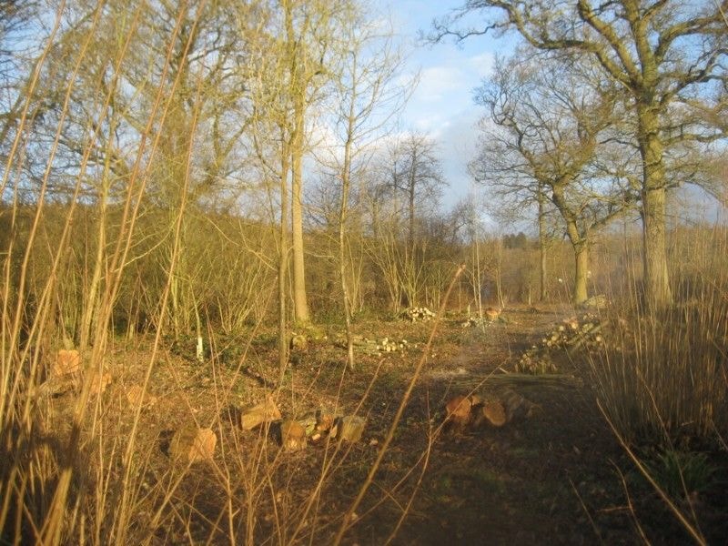 Fidelity Weston and Romshed Farm - IMG_0277