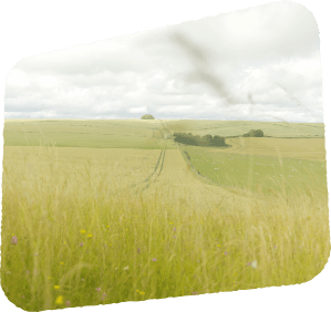 Floating image 4, drone