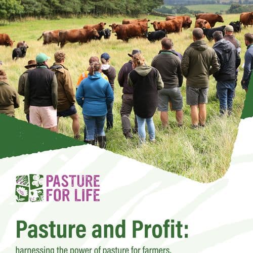 Shortened Business Plan