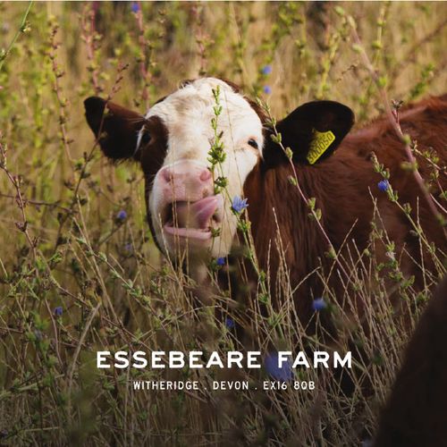 Image of who Essebeare Farming LLP is