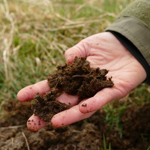 Soil being shown in palm of hand