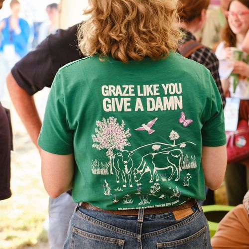 Groundswell 2025