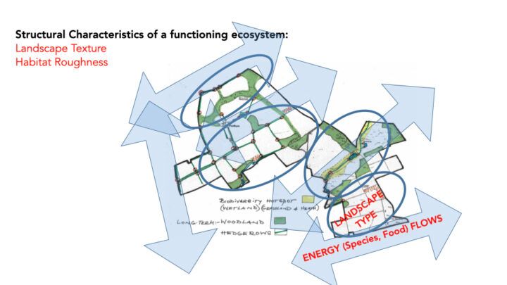 Case study