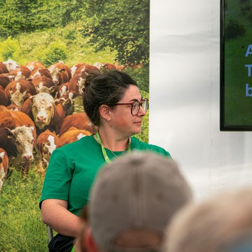 Head of Research, Sara Hall