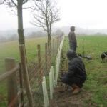 Fidelity Weston and Romshed Farm - IMG_0285