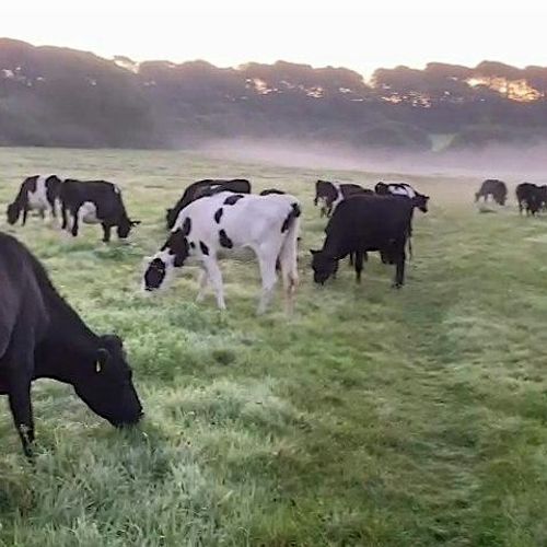 meta image for Farm Profitability: Where Can You Improve Your Bottom Line?